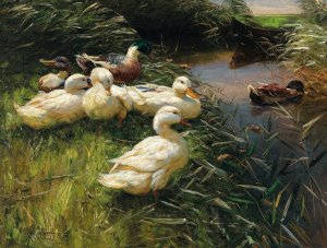 Ducks on the Lakeside in Reeds with a Boat by Alexander Koester Oil Painting