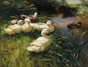Ducks on the Lakeside in Reeds with a Boat by Alexander Koester Oil Painting