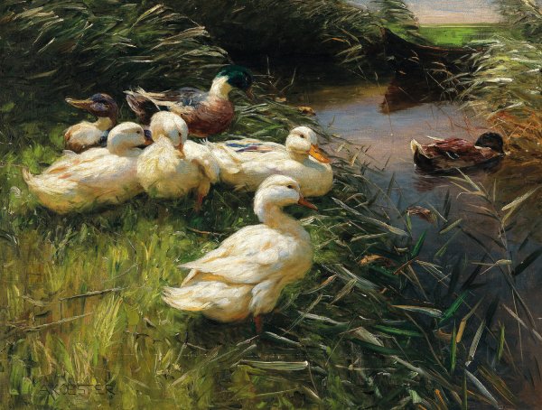 Main Product Photo of Ducks on the Lakeside in Reeds with a Boat Painting by Alexander Koester