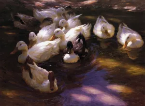 Eleven Ducks in the Morning Sun by Alexander Koester - Oil Painting Reproduction