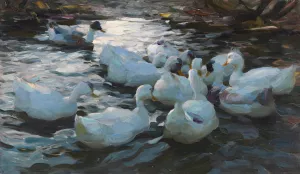Elf Enten im Wasser by Alexander Koester Oil Painting