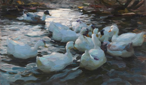 Elf Enten im Wasser  by Alexander Koester - Hand-Painted Oil Painting Reproduction