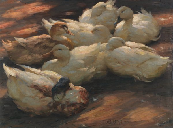 Main Product Photo of Enten am Boden lagernd  Painting by Alexander Koester