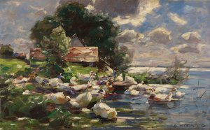 Enten am See by Alexander Koester Oil Painting