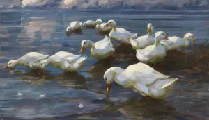 Enten am Seeufer by Alexander Koester Oil Painting