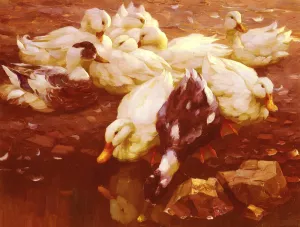 Enten Am Teich by Alexander Koester Oil Painting