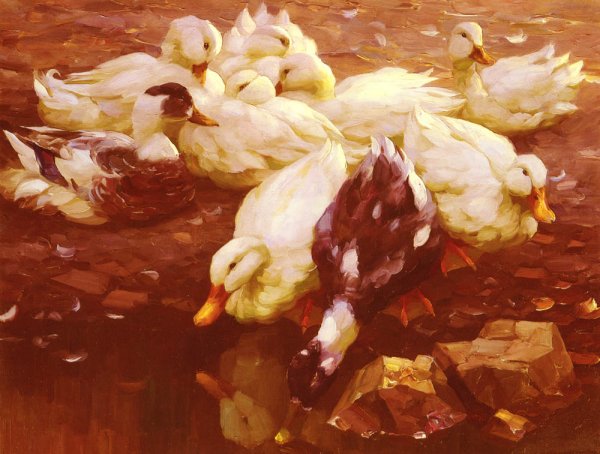 Main Product Photo of Enten Am Teich Painting by Alexander Koester