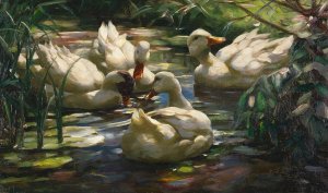 Enten auf dem Waldweiher by Alexander Koester Oil Painting