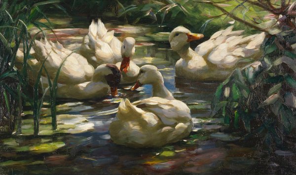 Enten auf dem Waldweiher  by Alexander Koester - Hand-Painted Oil Painting Reproduction