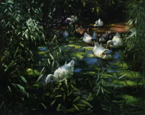 Enten im Schilfteich by Alexander Koester Oil Painting