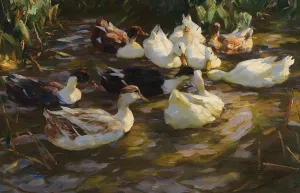 Enten im Teich by Alexander Koester Oil Painting