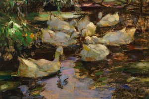 Enten im Wasser, ohne Sonne by Alexander Koester Oil Painting