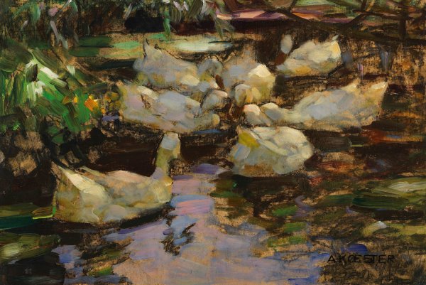 Enten im Wasser, ohne Sonne  by Alexander Koester - Hand-Painted Oil Painting Reproduction