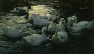 Enten Im Wasser by Alexander Koester - Oil Painting Reproduction