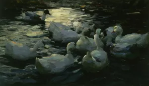 Enten Im Wasser Oil painting by Alexander Koester