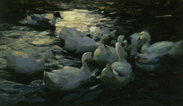 Main Product Photo of Enten Im Wasser Painting by Alexander Koester