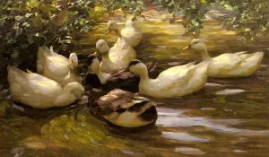 Enten in Wasser Unter Birken by Alexander Koester Oil Painting