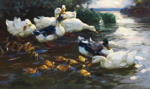 Enten mit Kuken im Wasser by Alexander Koester Oil Painting