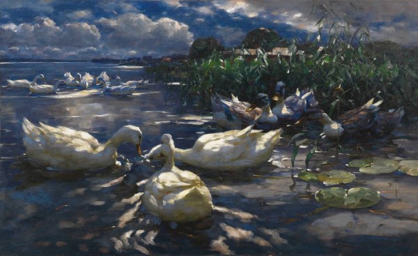 Main Product Photo of Enten, Reichenau  Painting by Alexander Koester