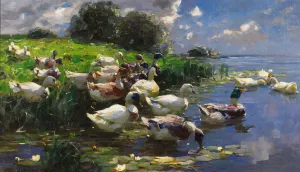 Enten by Alexander Koester Oil Painting