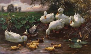Erpel mit Enten und Kuken am Seeufer by Alexander Koester Oil Painting