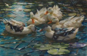Funf bunte Enten in blauem Seerosenwasser by Alexander Koester Oil Painting