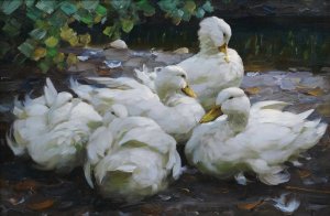 Funf ruhende weise Enten by Alexander Koester Oil Painting