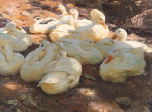 Liegende Enten - Licht und Schatten by Alexander Koester Oil Painting