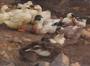 Neun Enten am Teichufer by Alexander Koester Oil Painting