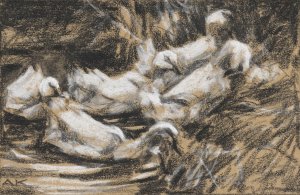 Sechs Enten am Schilfufer by Alexander Koester Oil Painting