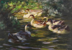 Sechs Enten auf dem Wasser unter Uferstrauchern by Alexander Koester Oil Painting