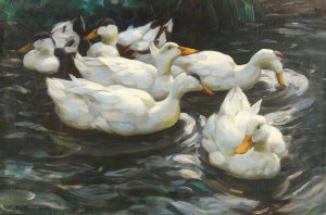 Sechs Enten im Wasser by Alexander Koester Oil Painting