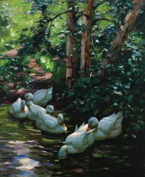 Sechs Enten im Wasser by Alexander Koester Oil Painting