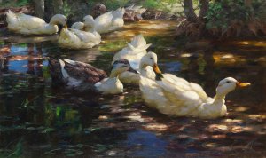 Sieben Enten im schattigen Waldteich by Alexander Koester Oil Painting