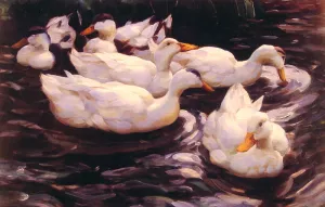 Six Ducks in the Pond by Alexander Koester Oil Painting