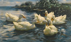 Six Ducks by Alexander Koester Oil Painting