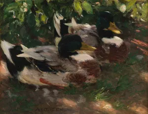 Zwei Erpel auf dem Wasser by Alexander Koester Oil Painting