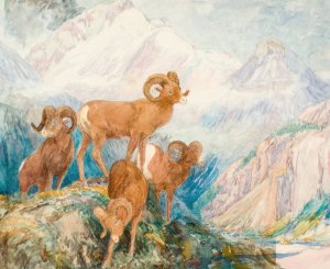 Big Horn Mountain Sheep by Alexander Phimister Proctor Oil Painting