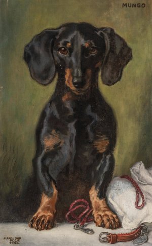 Der liebe, suse, kluge, frohliche, treue Mungerl by Alexander Pock Oil Painting