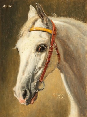 Pferdeportrait Quinta Oil painting by Alexander Pock