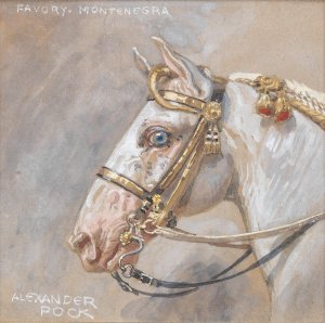 Pferdeportrat Favory Montenegra by Alexander Pock Oil Painting