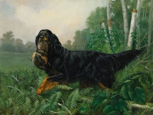 Gordon Setter In A Landscape by Alexander Pope Jr. Oil Painting