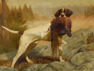 Pointer with Pheasant by Alexander Pope Jr. Oil Painting