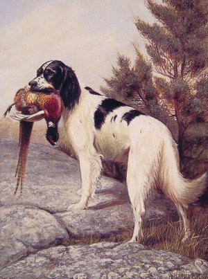 Hunting Dog with Pheasant