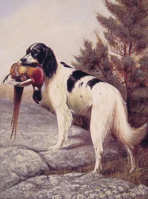 Hunting Dog with Pheasant by Alexander Pope - Oil Painting Reproduction