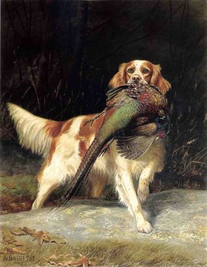 Springer Spaniel with Pheasant Oil painting by Alexander Pope