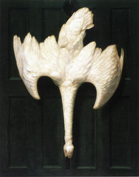 Main Product Photo of The Trumpeter Swan Painting by Alexander Pope