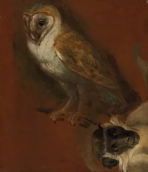 Study of an owl, with a fragmentary study of a monkey by Alexandre Francois Desportes Oil Painting