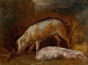 Study of Pigs by Alexandre-Gabriel Decamps Oil Painting