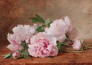 Peonies by Alexandre Gamba De Preydour Oil Painting